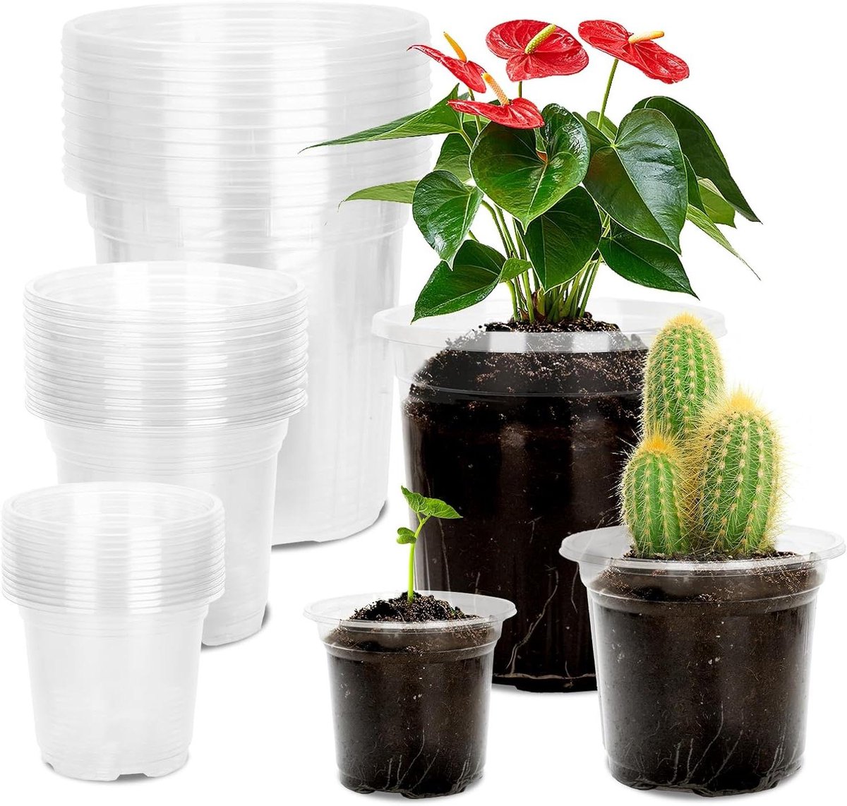 Ronte - Plastic plantenpotten voor orchideeën - set van 36 stuks - 10/12,7/16,5 cm - geschikt voor bloemzaailingen, stekken en vetplanten - transparante kwekerijpotten - ideaal voor binnen.