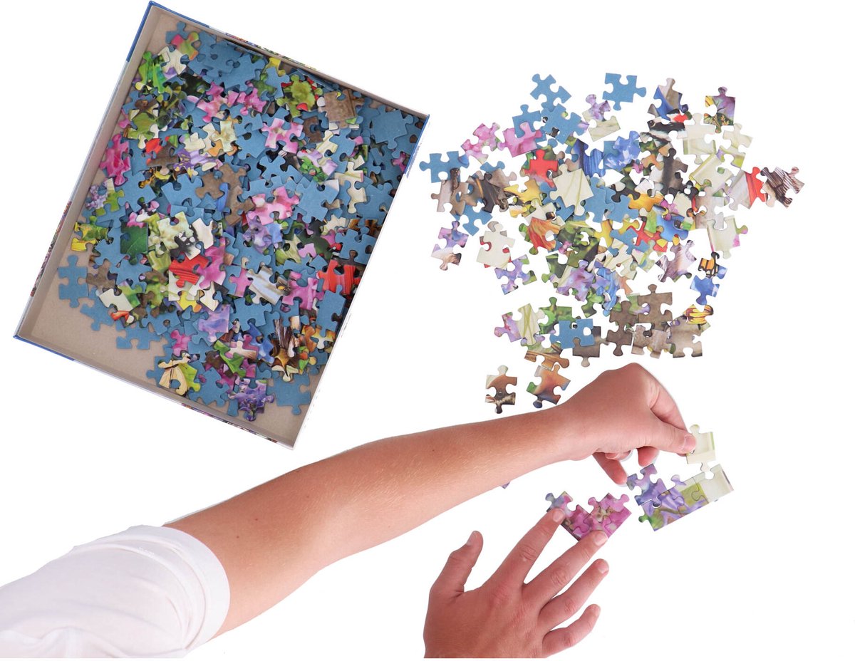 Ravensburger puzzel Bij het vogelbadje - Legpuzzel - 500 stukjes — afbeelding 6