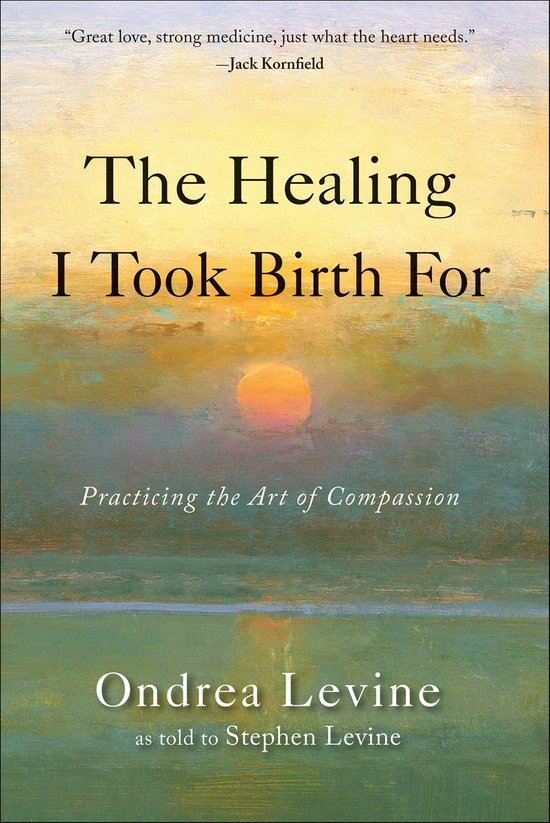 The Healing I Took Birth For - cover