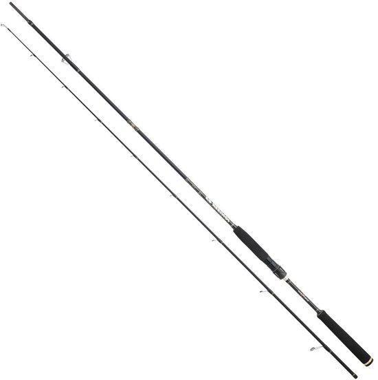 Sakura Ionizer G2 Long Range Ingsl Spinhengel Zilver 2.16 m / 15-50 g — afbeelding 2