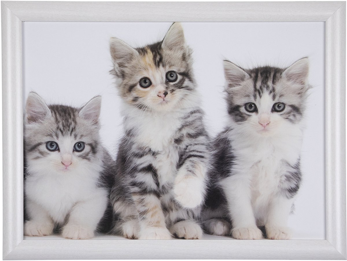 Mars & More Schoottafel schootkussen- katten -kittens - poezen print - 43 x 33 cm