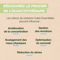 Ontdek de kracht van aromatherapie: essentiële oliën kunnen concentratie, emoties, slaap en stress beïnvloeden.