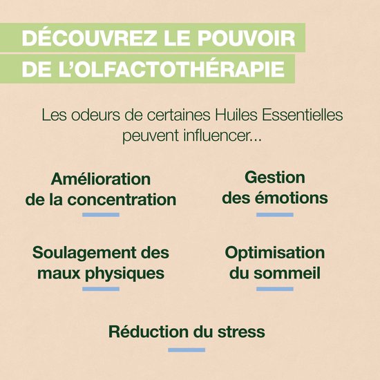 Ontdek de kracht van aromatherapie: essentiële oliën kunnen concentratie, emoties, slaap en stress beïnvloeden.