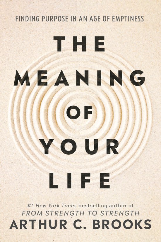 The Meaning of Your Life - cover