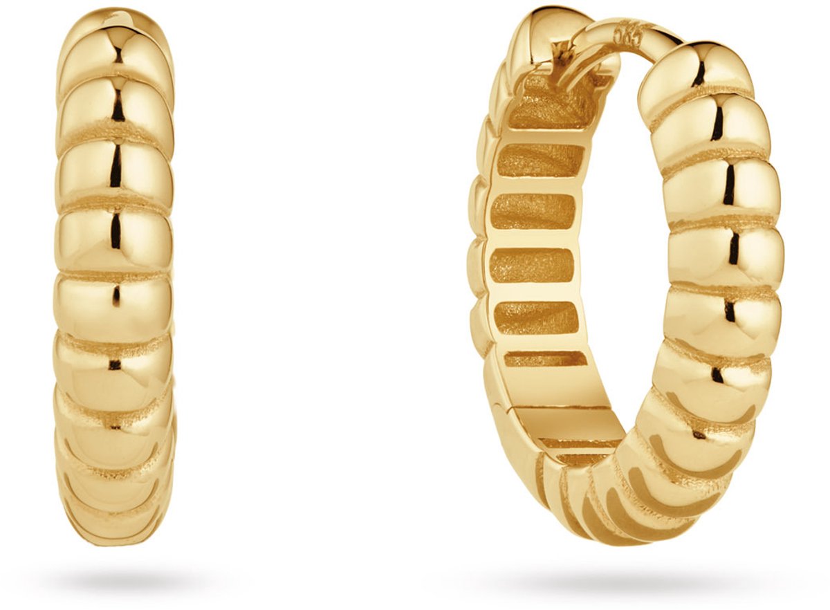 Glow 207.0292.00 Dames Oorbellen - Oorringen