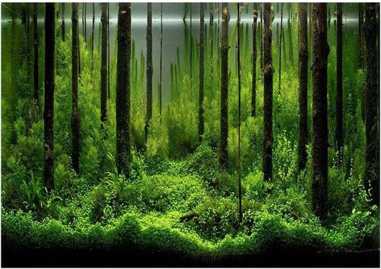 Aquarium Achtergrond Poster, PVC Zee Vis Stoeien Achtergrond 3D Waterdicht Zelfklevend Behang Sticker Achtergronden Decoratie voor Aquarium Fish Tank( 122 * 50cm