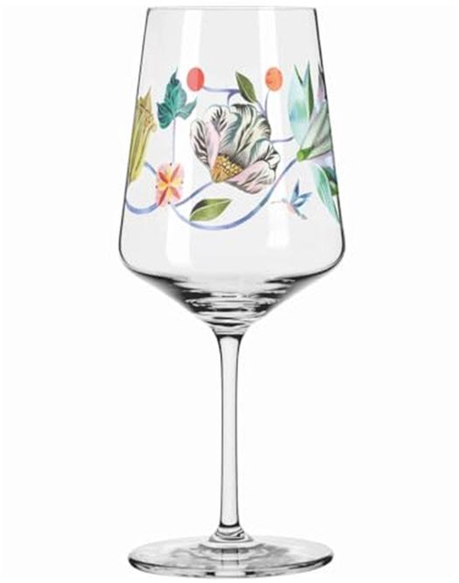 Aperitiefglas 500 ml met kolibrie ontwerp - Zomerse elegance voor cocktails en spritzers