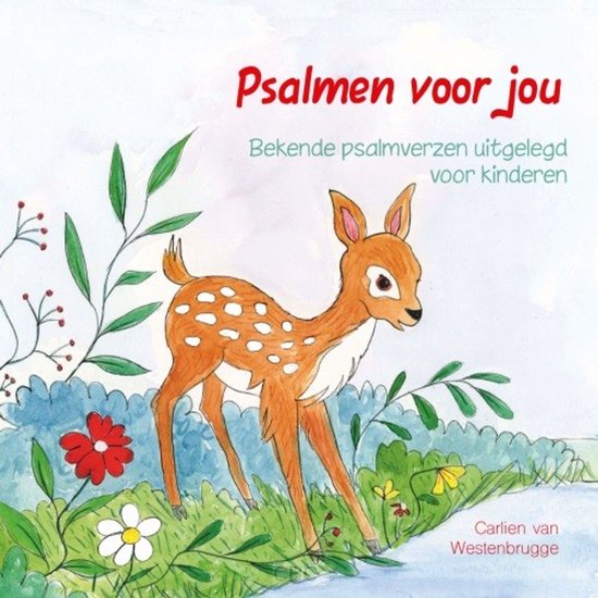 Psalmen voor jou - Bekende psalmverzen uitgelegd voor kinderen