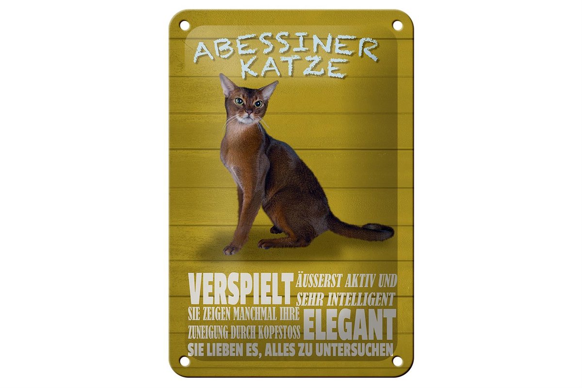 Blechschild Spruch 12x18cm Abyssiner Katze verspielt