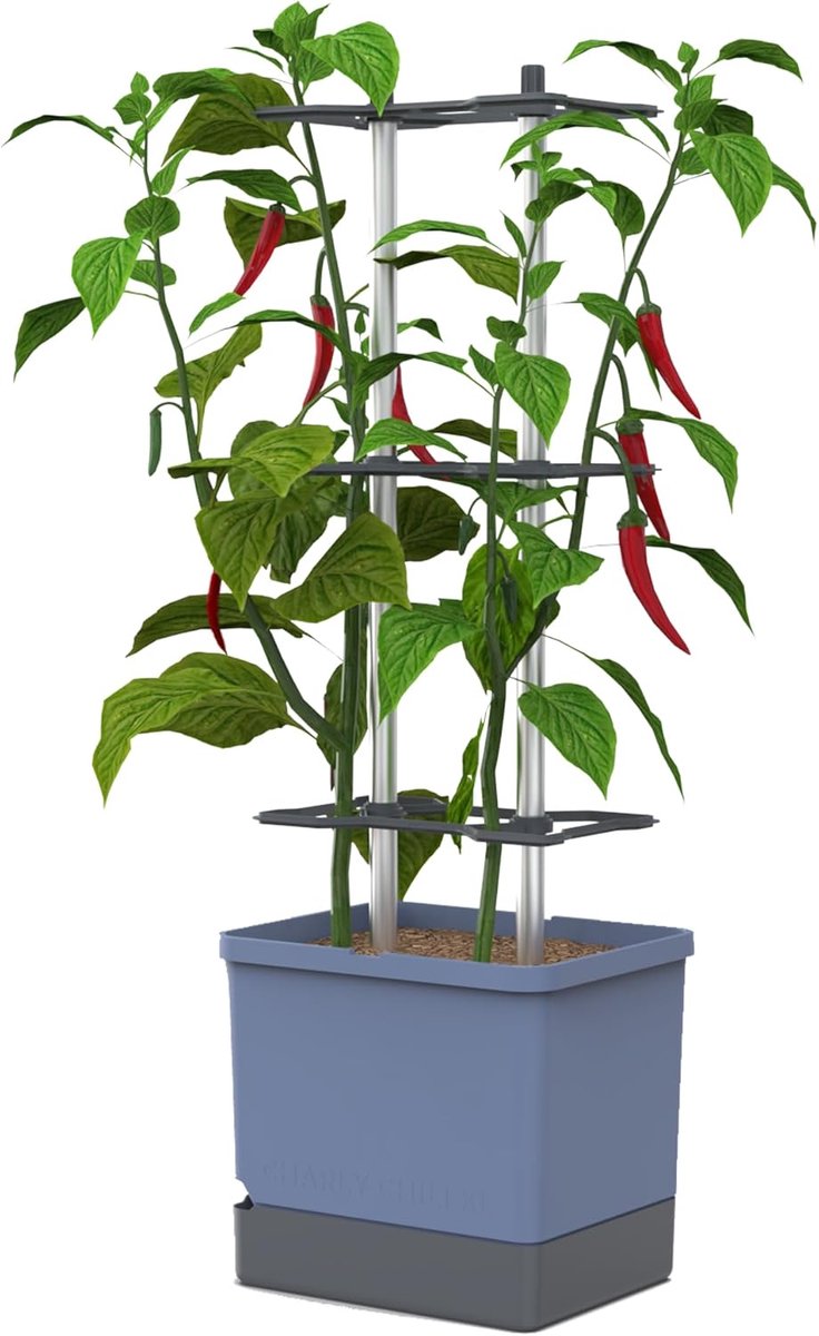 GUSTA GARDEN Charly Chili Chili Pot - Bloempot met trellis, bewateringssysteem en stevig frame
