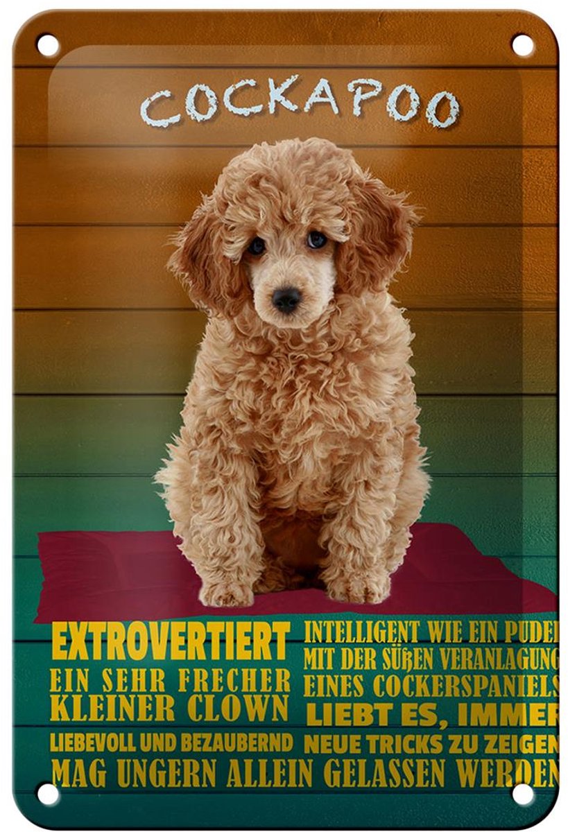Blechschild Spruch 12x18cm Cockapoo Hund kleiner Clown