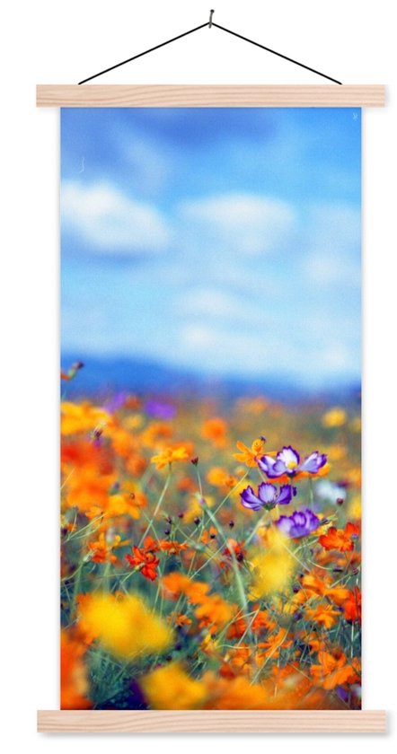 Porte-affiche avec affiche - Affiche scolaire - Cosmos - Couleurs - Printemps - 60x120 cm - Lattes vierges
