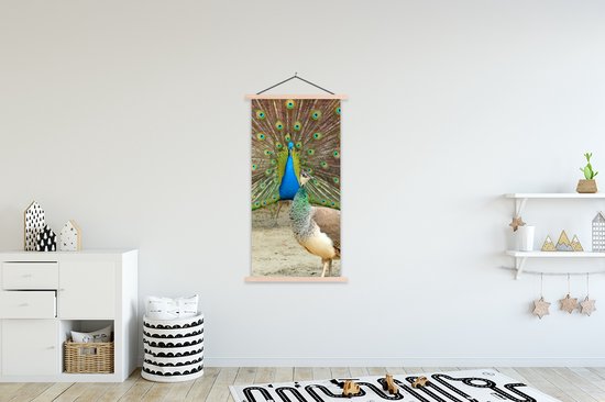 Porte-affiche avec affiche - Affiche scolaire - Paons - Vogels - Ressorts - 90x180 cm - lattes vierges