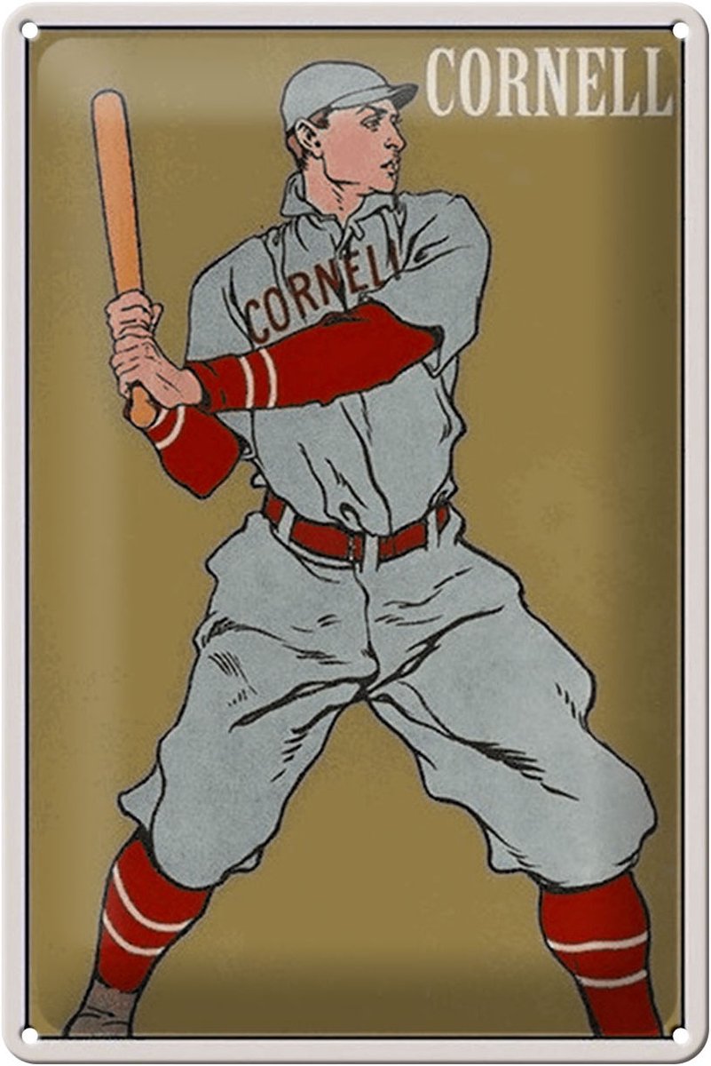 Blechschild Retro 20x30cm Cornell Baseball Schlagmann