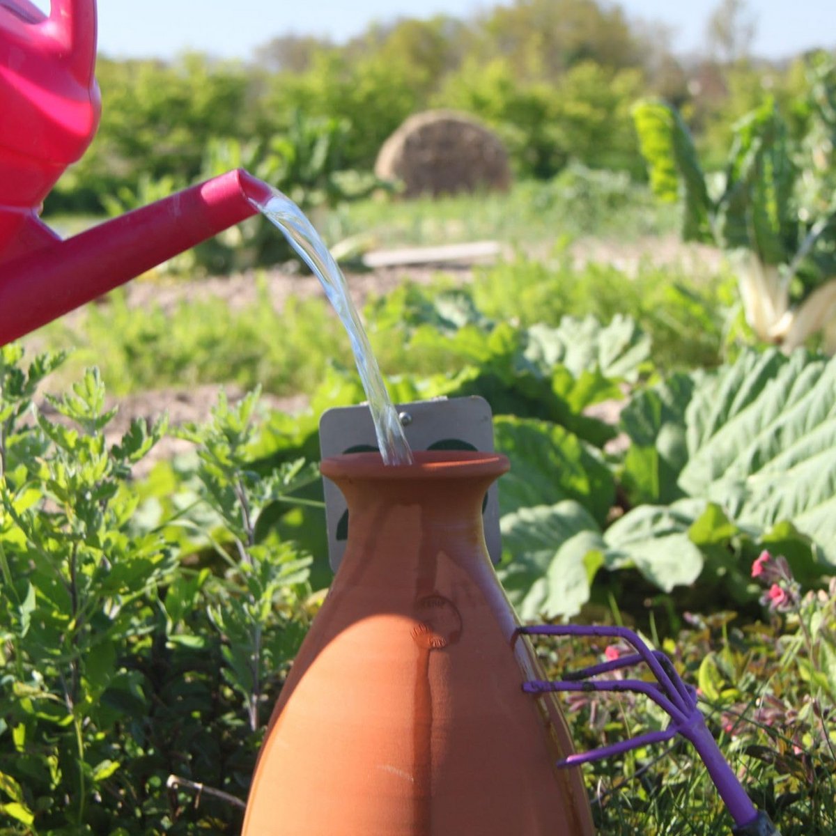 Ollas Lutton Tuinman om te begraven, automatisch irrigatiesysteem voor planten/bloemen/bomen, milieuvriendelijk en zuinig, vrijstaande sproeier, terracotta 4L
