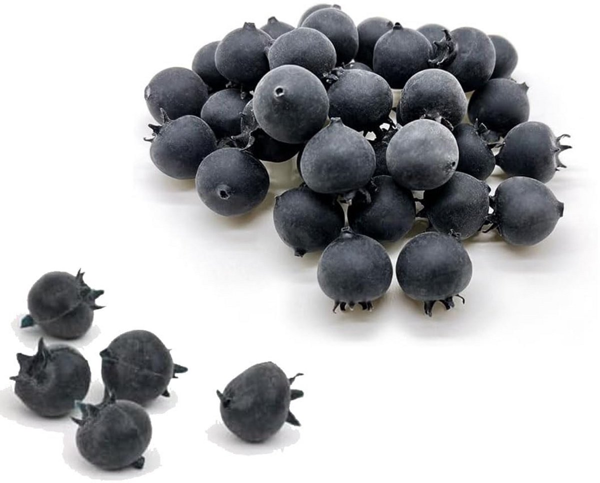 50x Levensechte Kunstbosbessen | Decoratie Fruit voor Taart, Fotografie en Huis