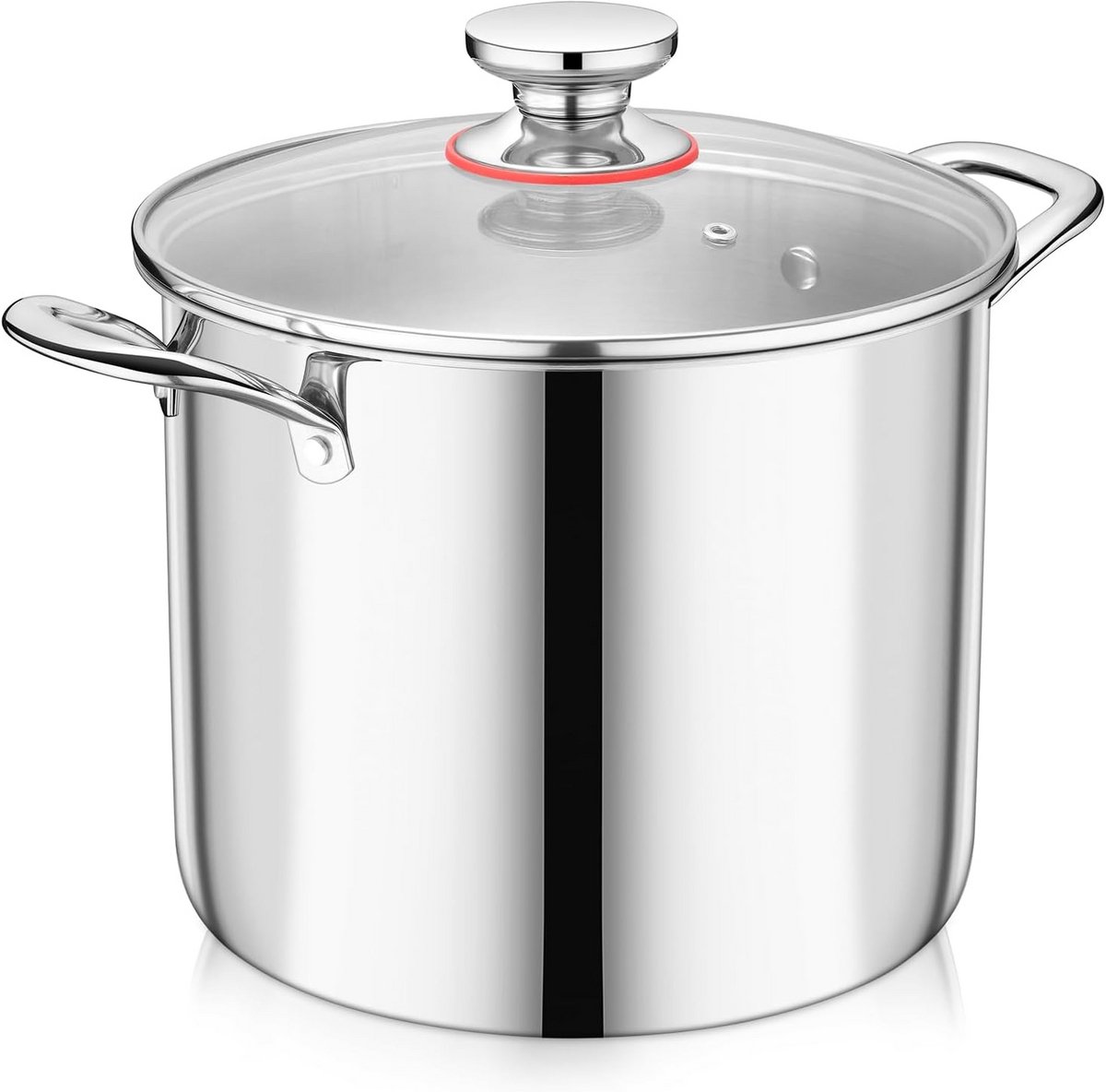 Grote 3-laags RVS Stoofpan met Glazen Deksel - 9.4 Liter Capaciteit