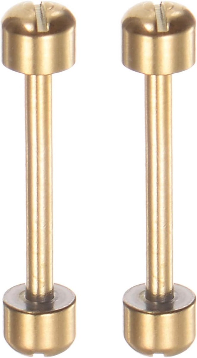 Provento - Horloge schroef buis schacht 20mm roestvrij staal armband pins - goudkleurig 2 stuks