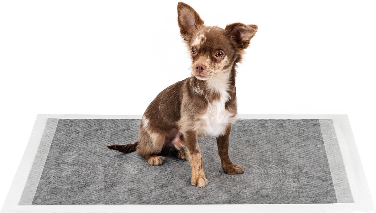 lionto puppy pads 60x90 cm, 6-laags, met actieve kool, 50 stuks