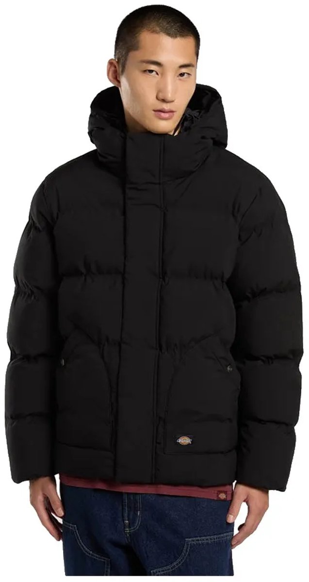 Dickies Eagleville Doudoune L Man Zwart
