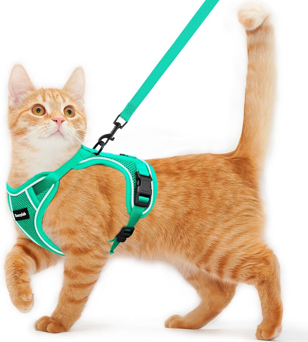 Kattenharnas en Riem voor Wandelen - Ademend, Verstelbaar en Ontsnappingsbestendig Vest voor Katten en Kittens