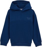 WE Fashion Jongens hoodie met structuur