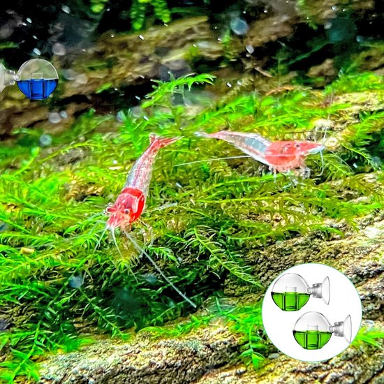 2 stuks CO2-aquariummonitor, CO2-tester aquarium, aquarium CO2-monitor, CO2-glastester, CO2-tester, CO2-tester, CO2-tester, CO2-tester, CO2-duurtest voor zoetwateraquaria, geplante vistank