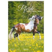 Paarden / Pferde Kalender 2021 (formaat 33x47)
