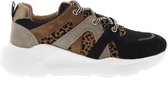 Dames Veterschoenen Dwrs Dwrs New Jersey Black/cognac Zwart - Maat 39