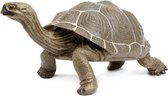 Safari Speeldier Galapagos Schildpad 22,5 Cm Bruin