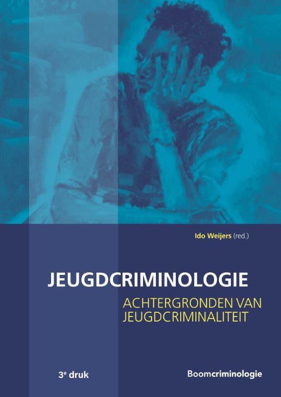 Tegenhanger volleybal Zilver Studieboeken Criminologie & Veiligheid - Jeugdcriminologie | 9789462369375  | Ido... | bol.com