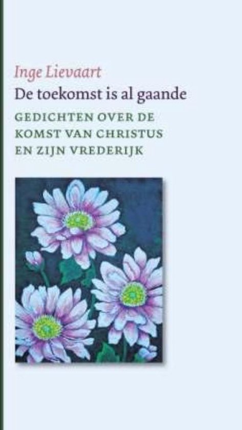 Cover van het boek 'De toekomst is al gaande'