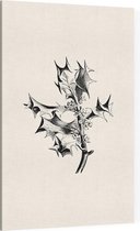 Hulst zwart-wit (Holly) - Foto op Canvas - 30 x 45 cm