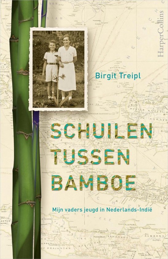 Schuilen tussen bamboe - cover