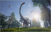 Dinosaurus langnek surprise (Alamosaurus) - Foto op Forex - 60 x 40 cm