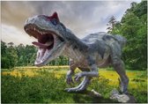 Dinosaurus T-Rex in grasland - Foto op Forex - 70 x 50 cm (B2)