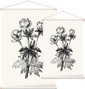 Globebloem Trollius zwart-wit (Globe Flower) - Foto op Textielposter - 40 x 60 cm