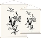 Moerasspirea zwart-wit (Meadow Sweet) - Foto op Textielposter - 45 x 60 cm