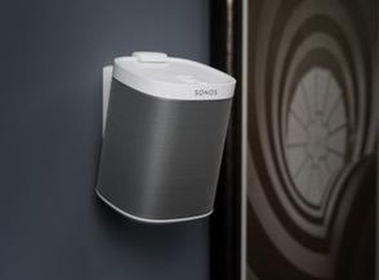 flexson p1wm1011