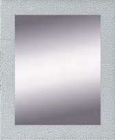 Zilveren Spiegel Modern 55x115 cm – Mathilda – Pas Spiegel – Wandspiegels Groot – Zilver Spiegel – Perfecthomeshop