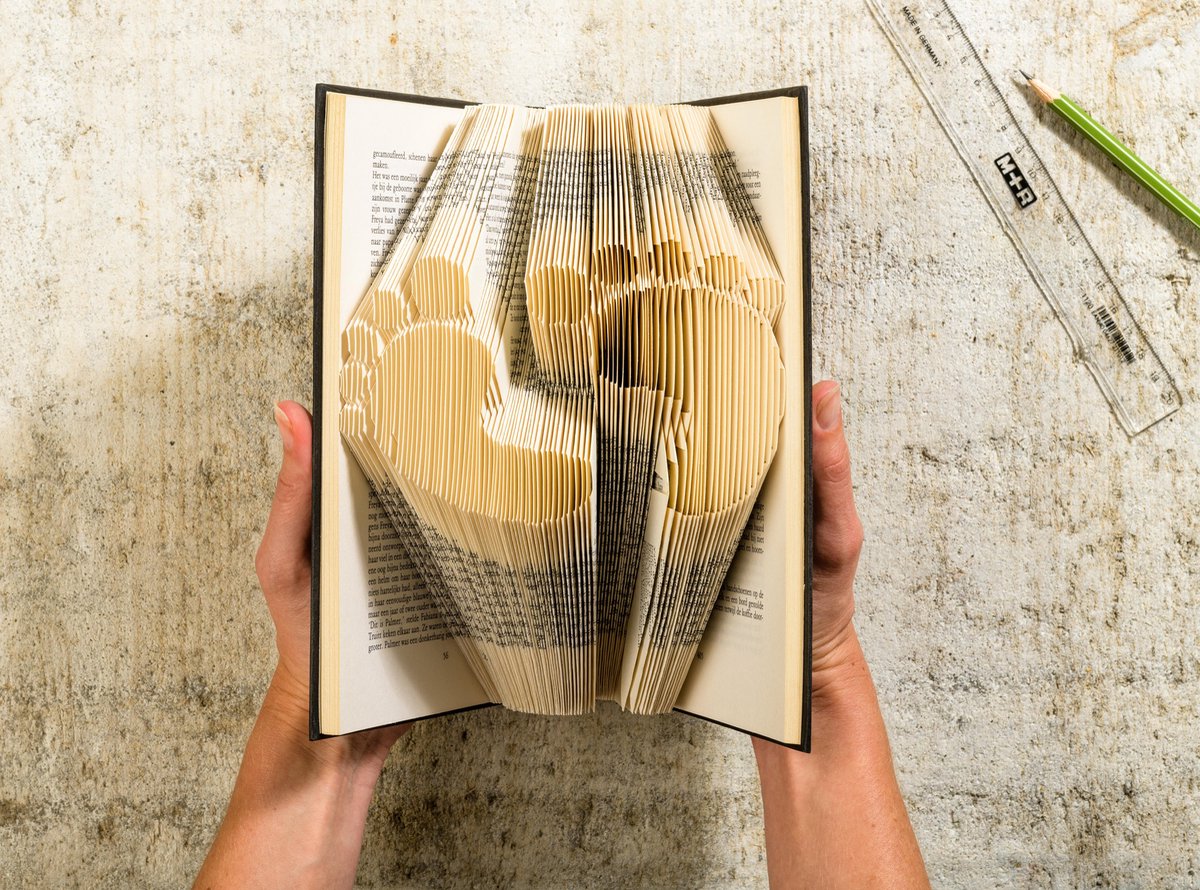Belichamen Ontmoedigen residu Complete Folded Book Art Starterskit - Knutselen voor volwassenen met  papier -... | bol.com
