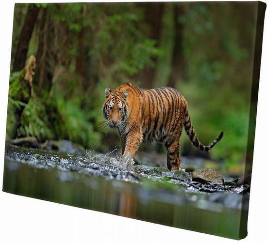 Tigre au bord de l'eau | 150 x 100 cm | Décoration murale | Animaux sur toile | Peinture | Tissu en toile | Peinture sur toile