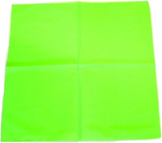 Zac's Alter Ego Zac's Alter Ego - Alternative Paisley Bandana - Türkis