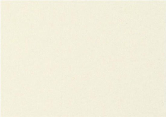 NEUSER PAPIER 50 x boekbinderskarton, DIN A4 (21 29,7 cm