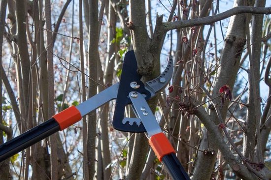 Garten Primus Telescopische takkenschaar met tandwiel — afbeelding 5