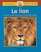 Gros plan sur la nature 21. le lion