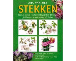 ABC van het stekken