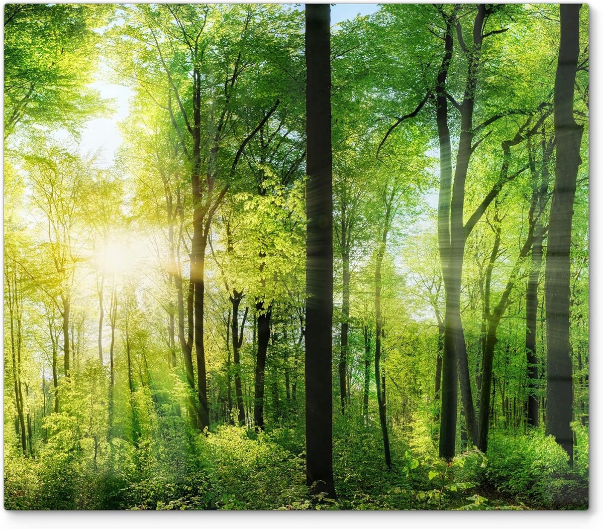 Glazen Afdekplaat Kookplaat Universeel 60x52 cm Hittebestendig & Krasvrij Bos Zon Glasplaat