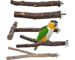 Set van 5 Natuurlijke Houten Zitstokken voor Papegaaien en Kleine Vogels