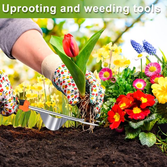 Onkruidstekers - Tuingereedschap - 2 Stuks Roestvrijstalen Handmatige Onkruidverwijderaar - Paardenbloemtrekker Onkruidmes Handmatige Onkruidverwijderaar Worteltrekker Tuingereedschap Tuinschraper Met Handvat van Merkloos	 — afbeelding 4